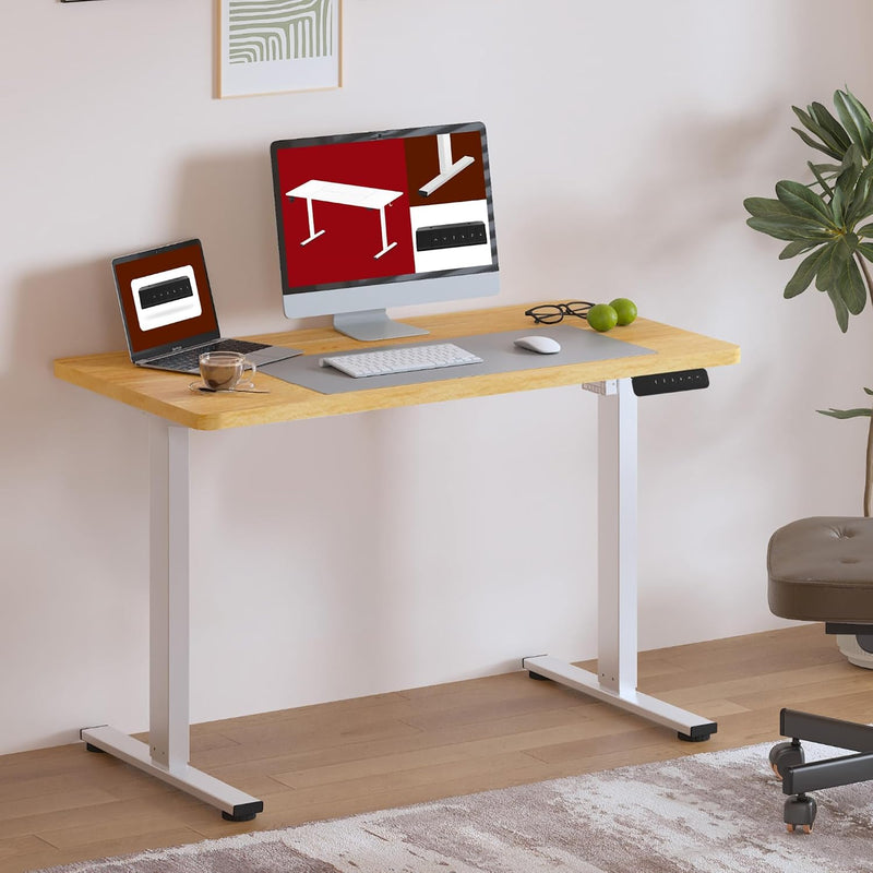 160 X 60 Electric Standing Desk Height Adjustable