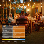 180FT 54m Outdoor Festoon Lights LED String Garden