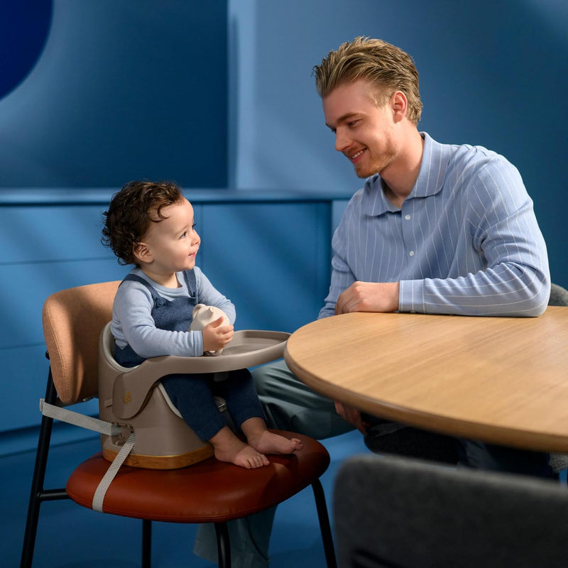 2-In-1 Baby Booster Seat Dining Chair 6 Months