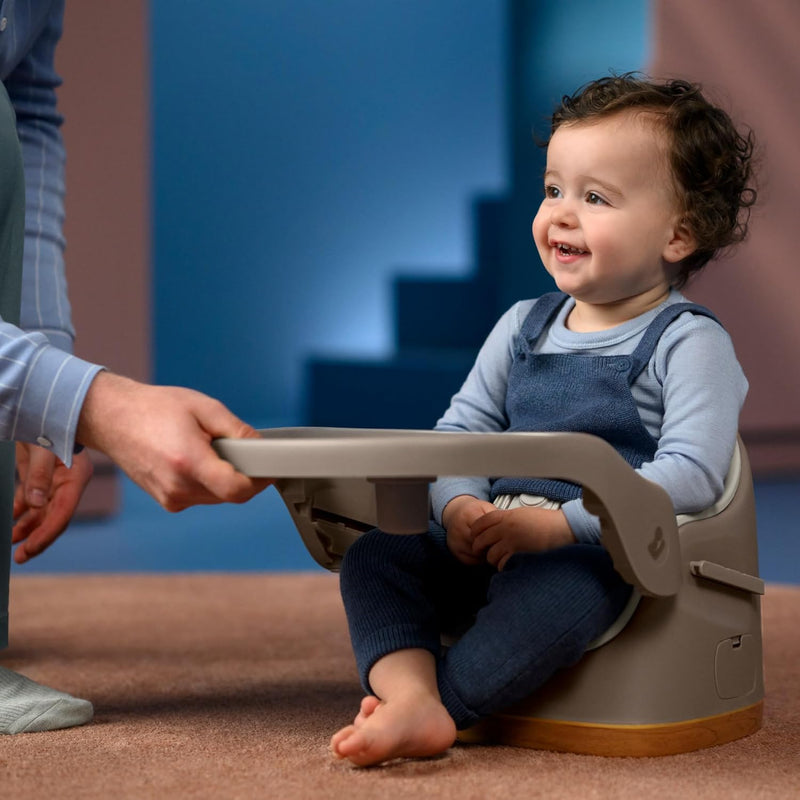 2-In-1 Baby Booster Seat Dining Chair 6 Months
