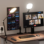 2 Packs LED Desk Lamp for Home Office