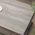 2 Tier Coffee Table Industrial Wood Metal Centre