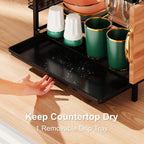 2 Tier Dish Drainer Rack for Small Kitchens