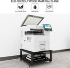 2 Tier Laser Printer Stand with Paper Storage