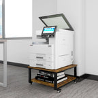 2 Tier Laser Printer Stand with Paper Storage