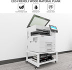 2 Tier Laser Printer Stand with Paper Storage