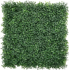 Boxwood Dark Green