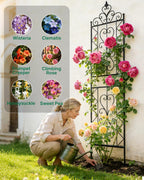200CM Metal Garden Trellis for Climbing Plants Pack
