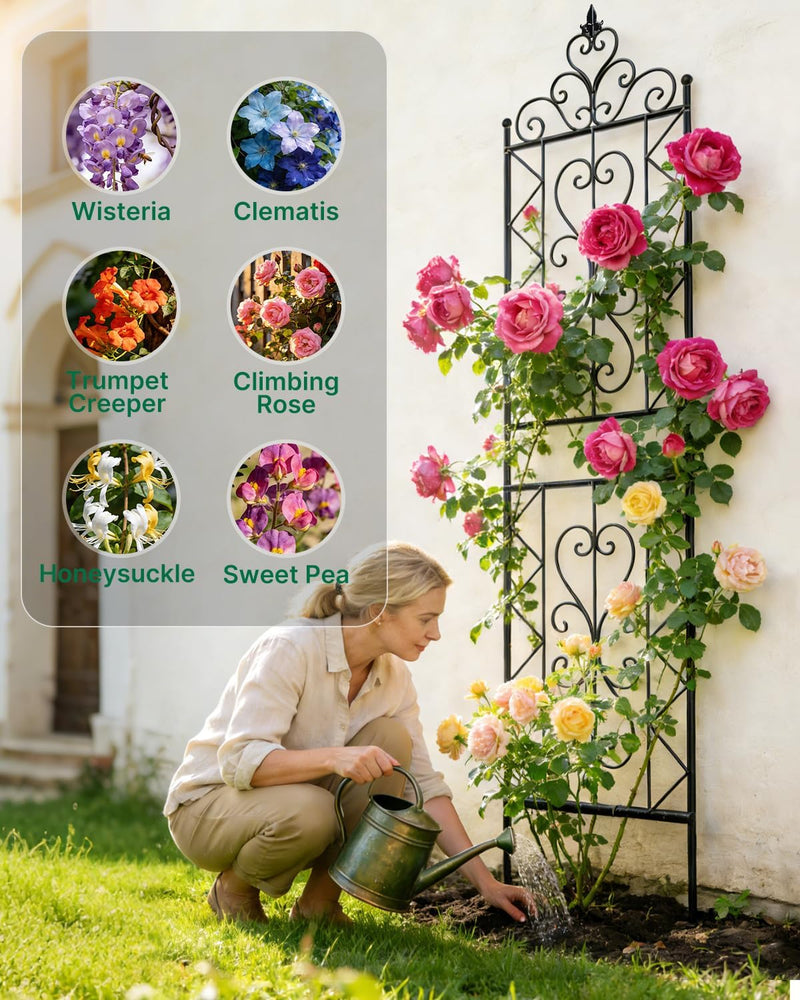 200CM Metal Garden Trellis for Climbing Plants Pack