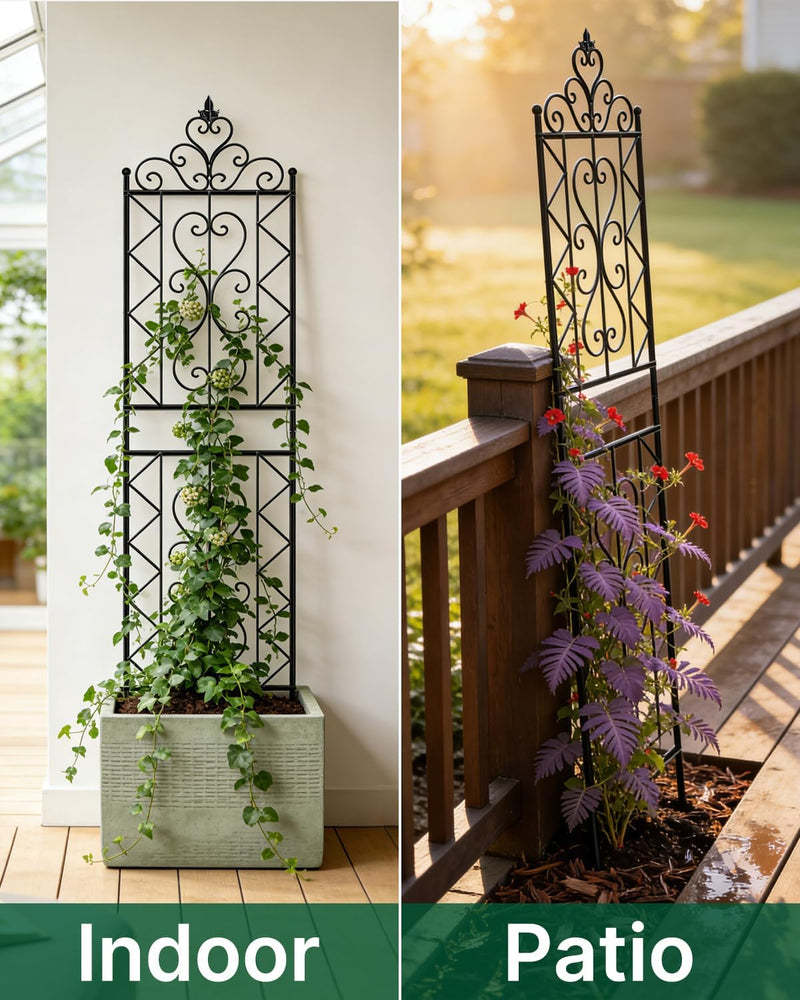 200CM Metal Garden Trellis for Climbing Plants Pack