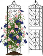 Floral Pattern