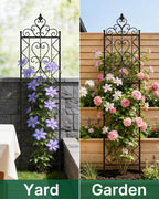 200CM Metal Garden Trellis for Climbing Plants Pack