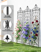 200CM Metal Garden Trellis for Climbing Plants Pack