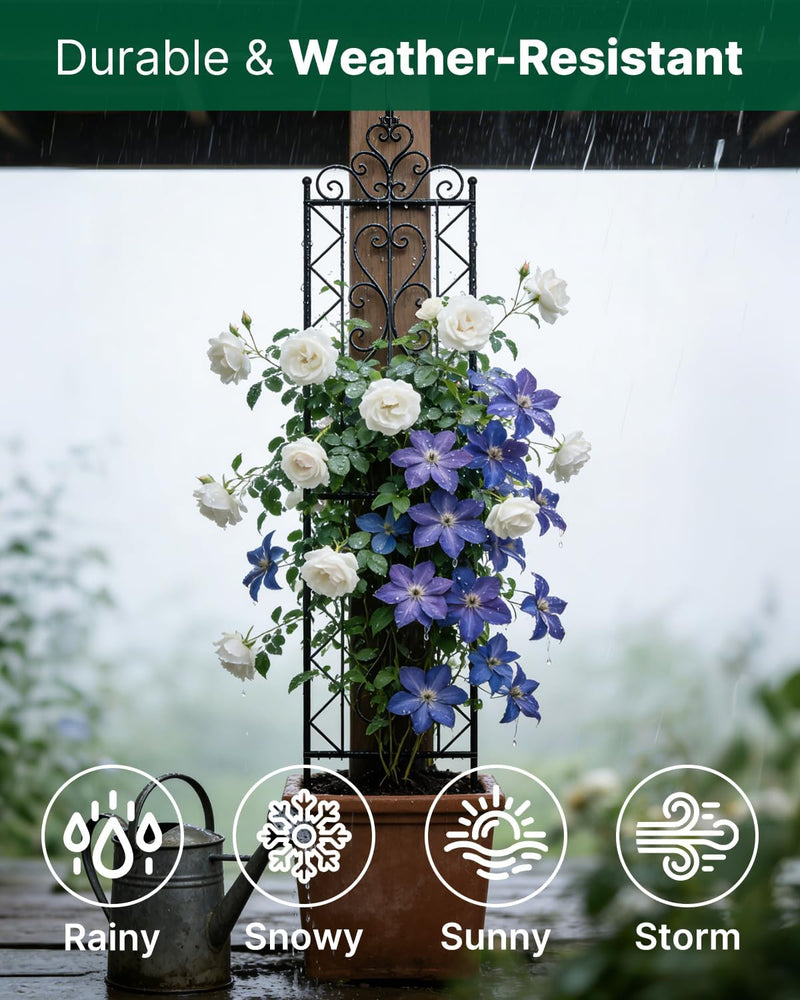 200CM Metal Garden Trellis for Climbing Plants Pack
