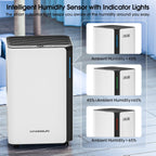 20L Day Dehumidifiers for Home Dehumidifier Drying Clothes