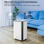 20L Day Dehumidifiers for Home Dehumidifier Drying Clothes