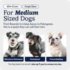 24-Inch Icrate Folding Dog Crate with Divider Panel