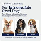 24-Inch Icrate Folding Dog Crate with Divider Panel