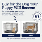 24-Inch Icrate Folding Dog Crate with Divider Panel