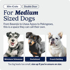 24-Inch Icrate Folding Dog Crate with Divider Panel