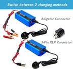 24V 5A Battery Charger Smart 4-Stage Lead Acid