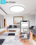24W Bathroom Lights Ceiling 2400lm LED Flush