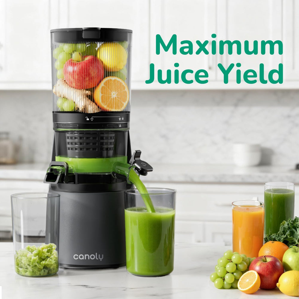 3-In-1 Cold Press Juicer Machines 150MM Feed Chute
