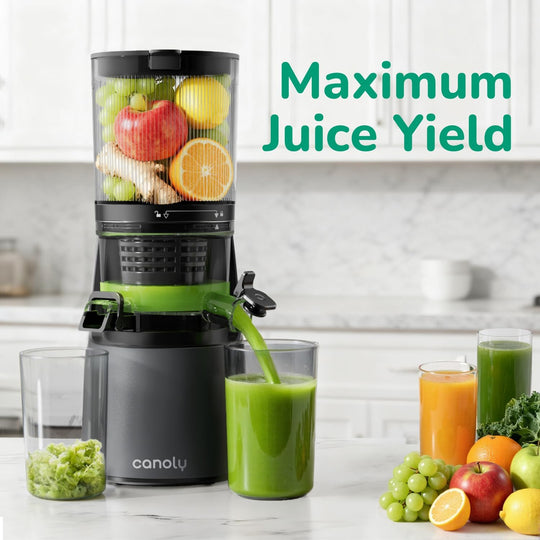 3-In-1 Cold Press Juicer Machines 150MM Feed Chute