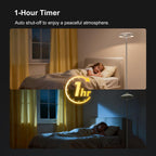 3-In-1 Floor Lamp with Galaxy Star RGB Aurora