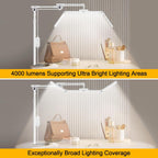 3-Segment Foldable Lash Lamp: Light with Rolling Base