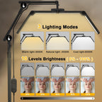 3-Segment Foldable Lash Lamp: Light with Rolling Base