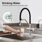 3 Way Kitchen Sink Tap with Pull Down