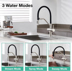 3 Way Kitchen Sink Tap with Pull Down