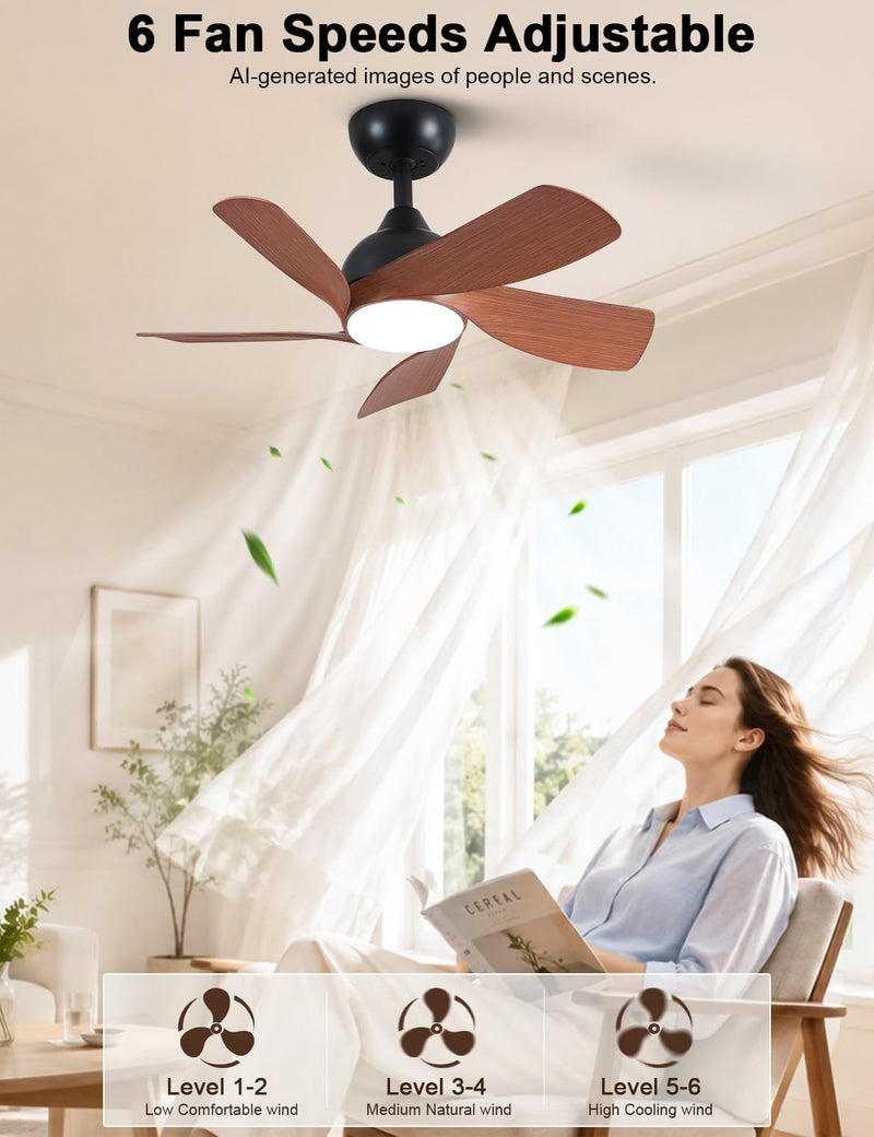 30 Inch Small and Walnut Colour Ceiling Fans