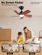 30 Inch Small and Walnut Colour Ceiling Fans