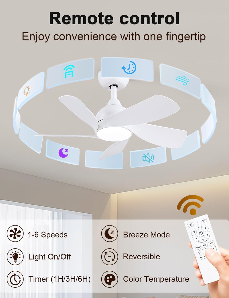 30 Inch Small and Walnut Colour Ceiling Fans