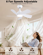 30 Inch Small and Walnut Colour Ceiling Fans