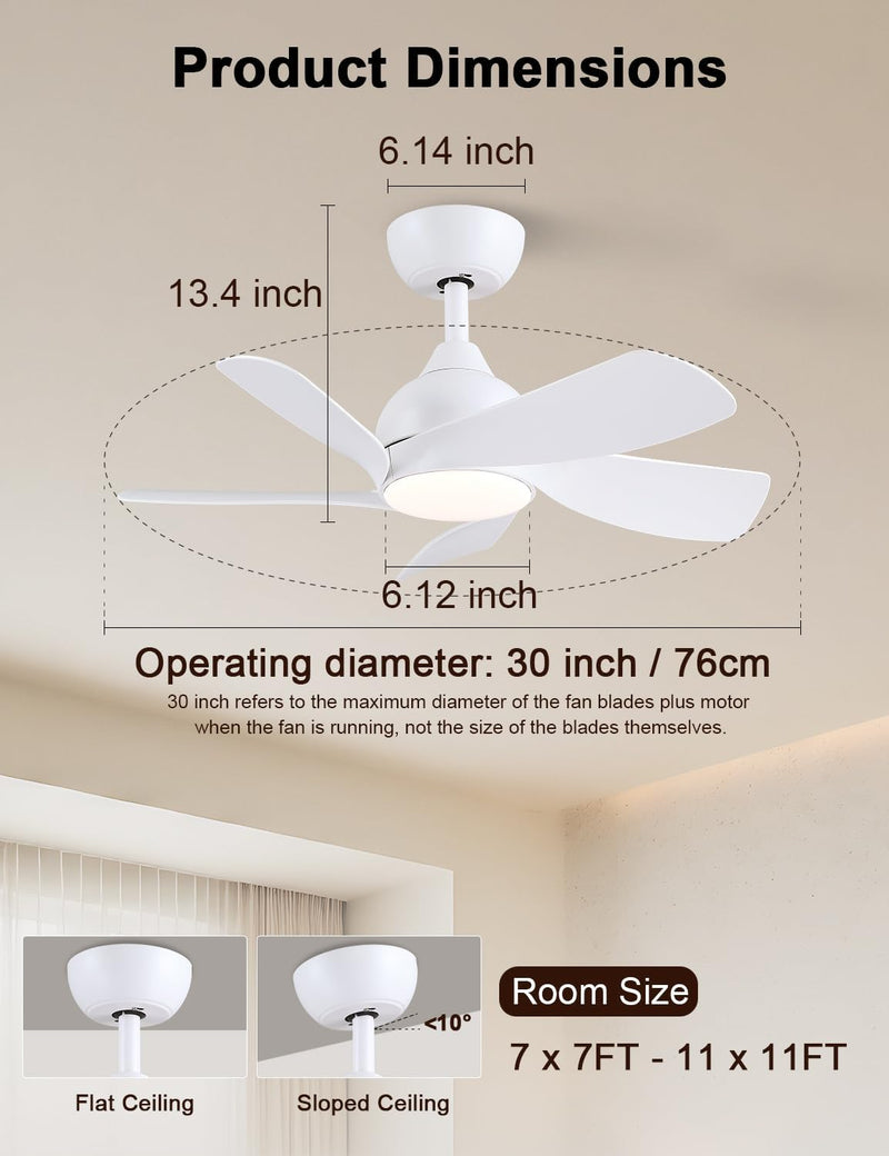 30 Inch Small and Walnut Colour Ceiling Fans