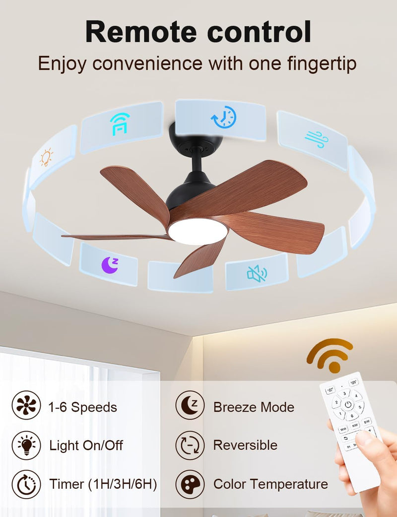 30 Inch Small and Walnut Colour Ceiling Fans