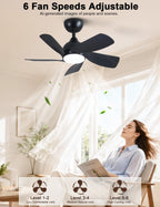 30 Inch Small and Walnut Colour Ceiling Fans