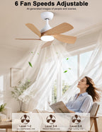 30 Inch Small and Walnut Colour Ceiling Fans