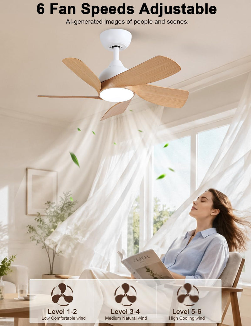 30 Inch Small and Walnut Colour Ceiling Fans