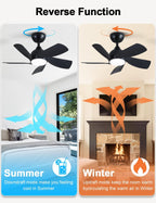 30 Inch Small and Walnut Colour Ceiling Fans