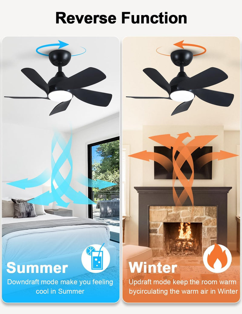 30 Inch Small and Walnut Colour Ceiling Fans