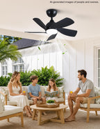 30 Inch Small and Walnut Colour Ceiling Fans