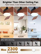 30 Inch Small and Walnut Colour Ceiling Fans