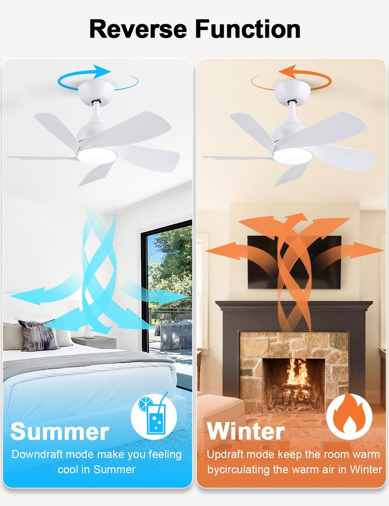 30 Inch Small and Walnut Colour Ceiling Fans