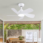 30 Inch Small and Walnut Colour Ceiling Fans