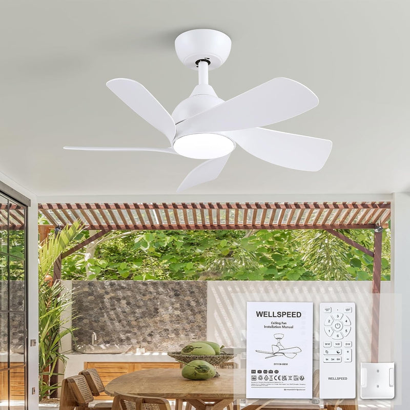 30 Inch Small and Walnut Colour Ceiling Fans