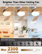 30 Inch Small and Walnut Colour Ceiling Fans